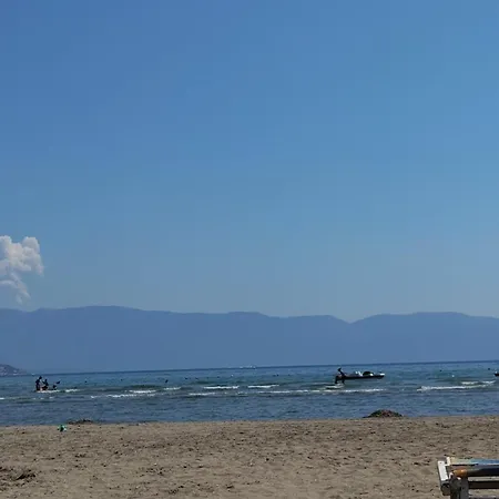 Doktor's House Vlorë